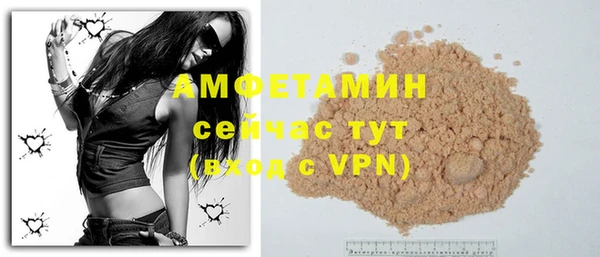индика Богородицк