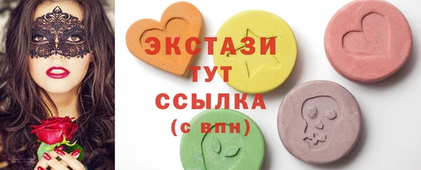 индика Богородицк