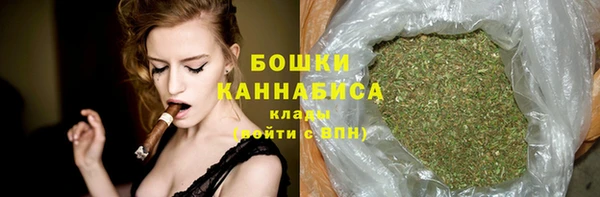 индика Богородицк