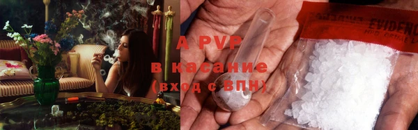 индика Богородицк