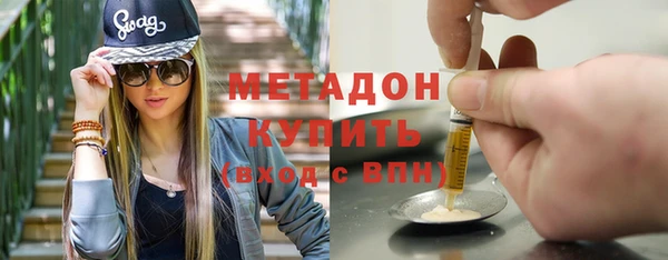 индика Богородицк