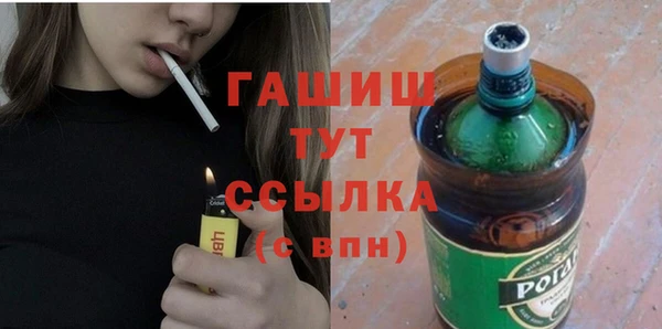 индика Богородицк