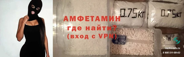 индика Богородицк