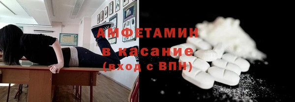 индика Богородицк