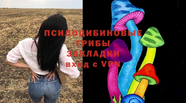 индика Богородицк