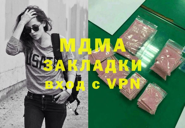 индика Богородицк