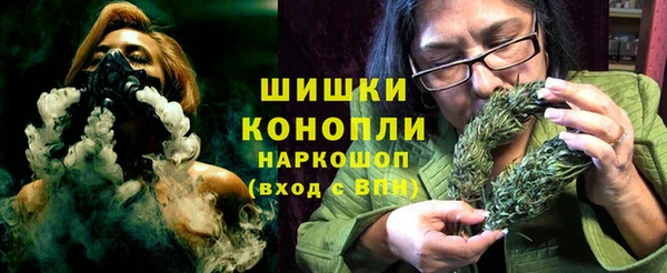 индика Богородицк
