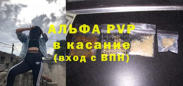 индика Богородицк