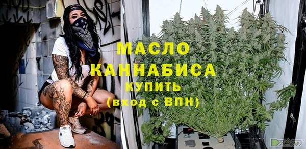 индика Богородицк