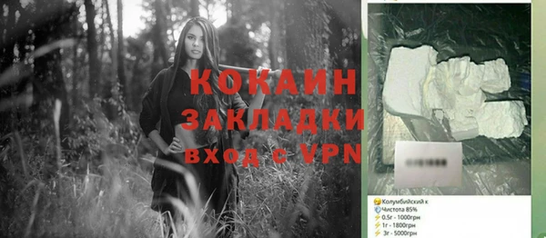 индика Богородицк