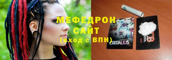 индика Богородицк