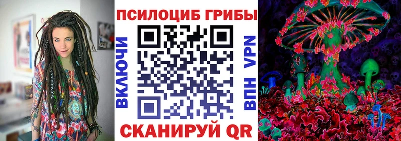 Псилоцибиновые грибы мицелий  наркота  Нарткала 