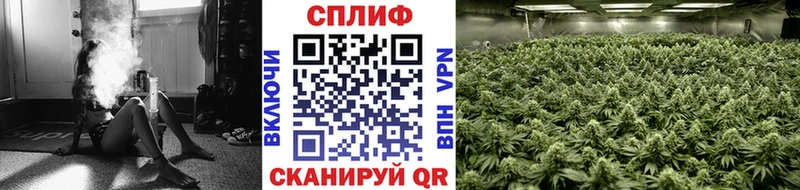 Бошки марихуана гибрид  Нарткала 